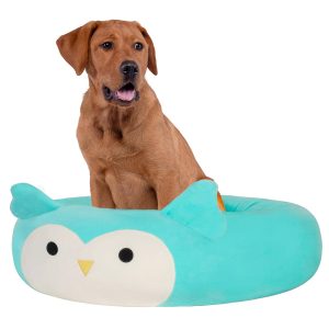 Winston the Owl Pet Bed